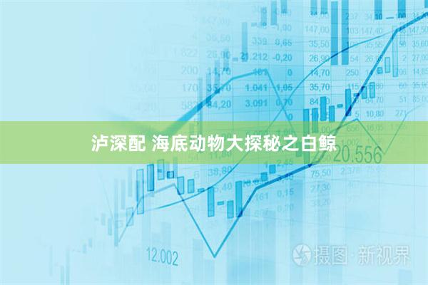 泸深配 海底动物大探秘之白鲸