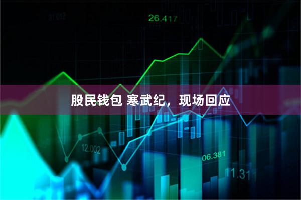 股民钱包 寒武纪，现场回应
