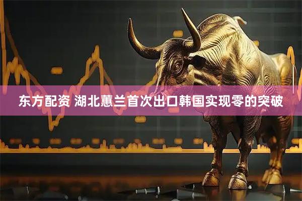 东方配资 湖北蕙兰首次出口韩国实现零的突破