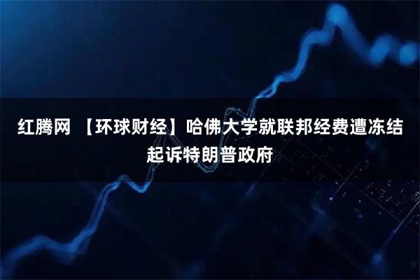 红腾网 【环球财经】哈佛大学就联邦经费遭冻结起诉特朗普政府