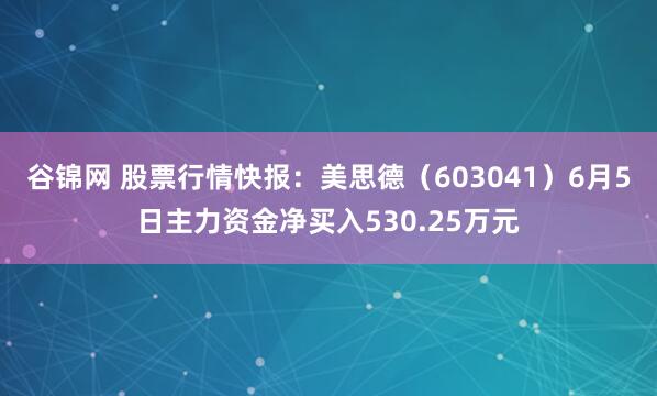 谷锦网 股票行情快报：美思德（603041）6月5日主力资金净买入530.25万元