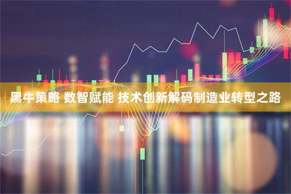 黑牛策略 数智赋能 技术创新解码制造业转型之路