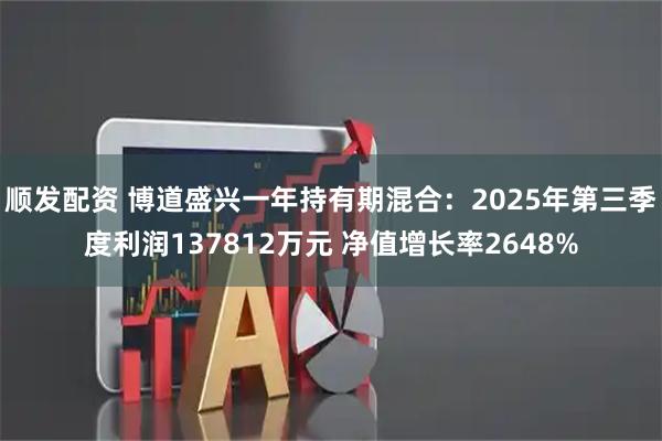 顺发配资 博道盛兴一年持有期混合：2025年第三季度利润137812万元 净值增长率2648%