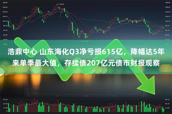 浩鼎中心 山东海化Q3净亏损615亿，降幅达5年来单季最大值，存续债207亿元债市财报观察